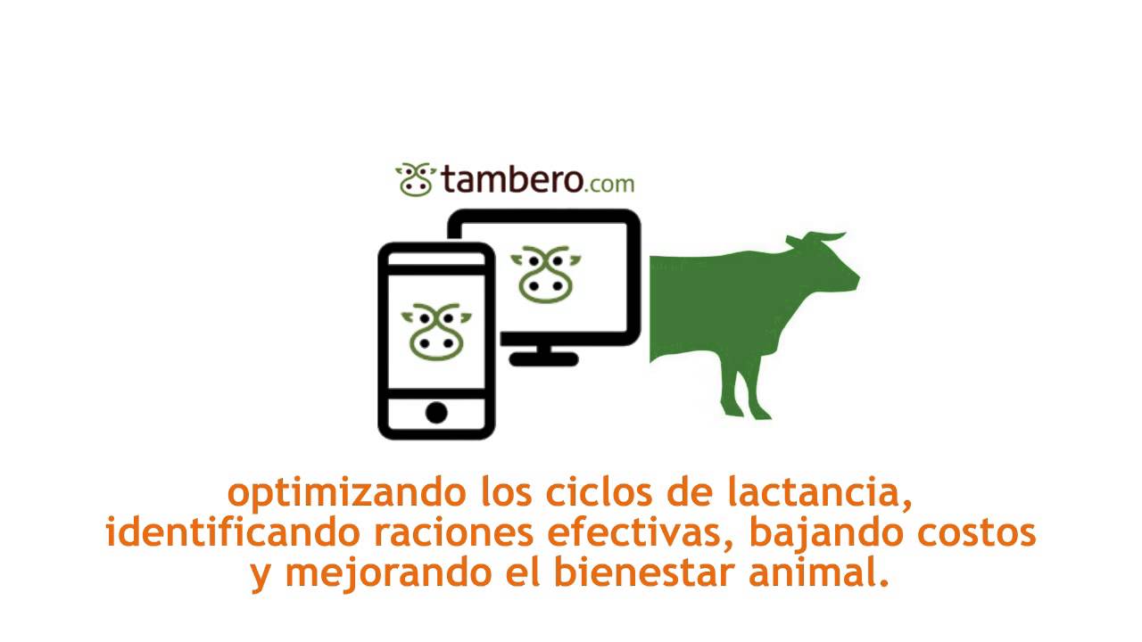 Una aplicación argentina para optimizar la ganadería