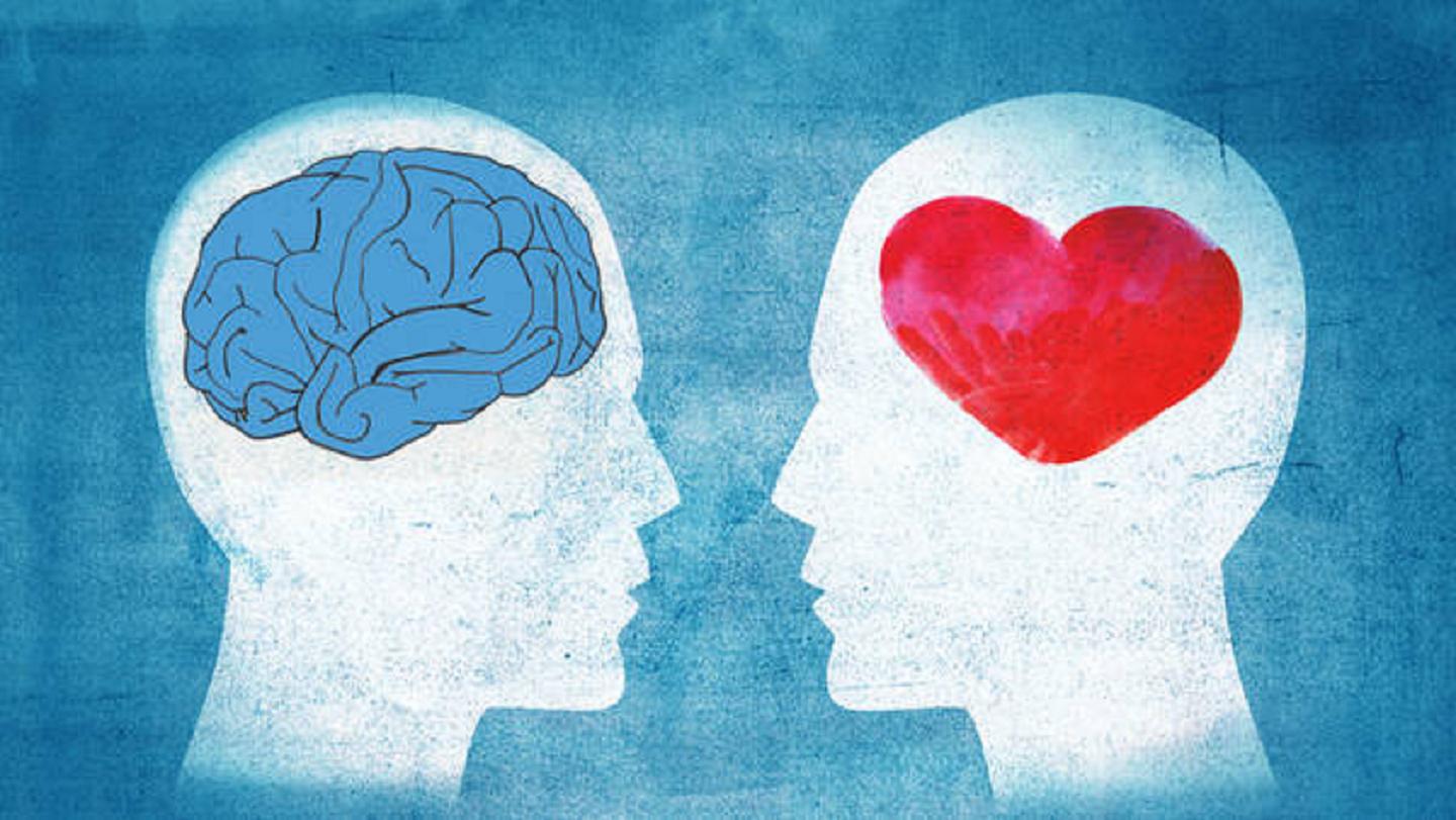 ¿Elegimos con el cerebro o con el corazón Google ayuda a revelar cómo se decide