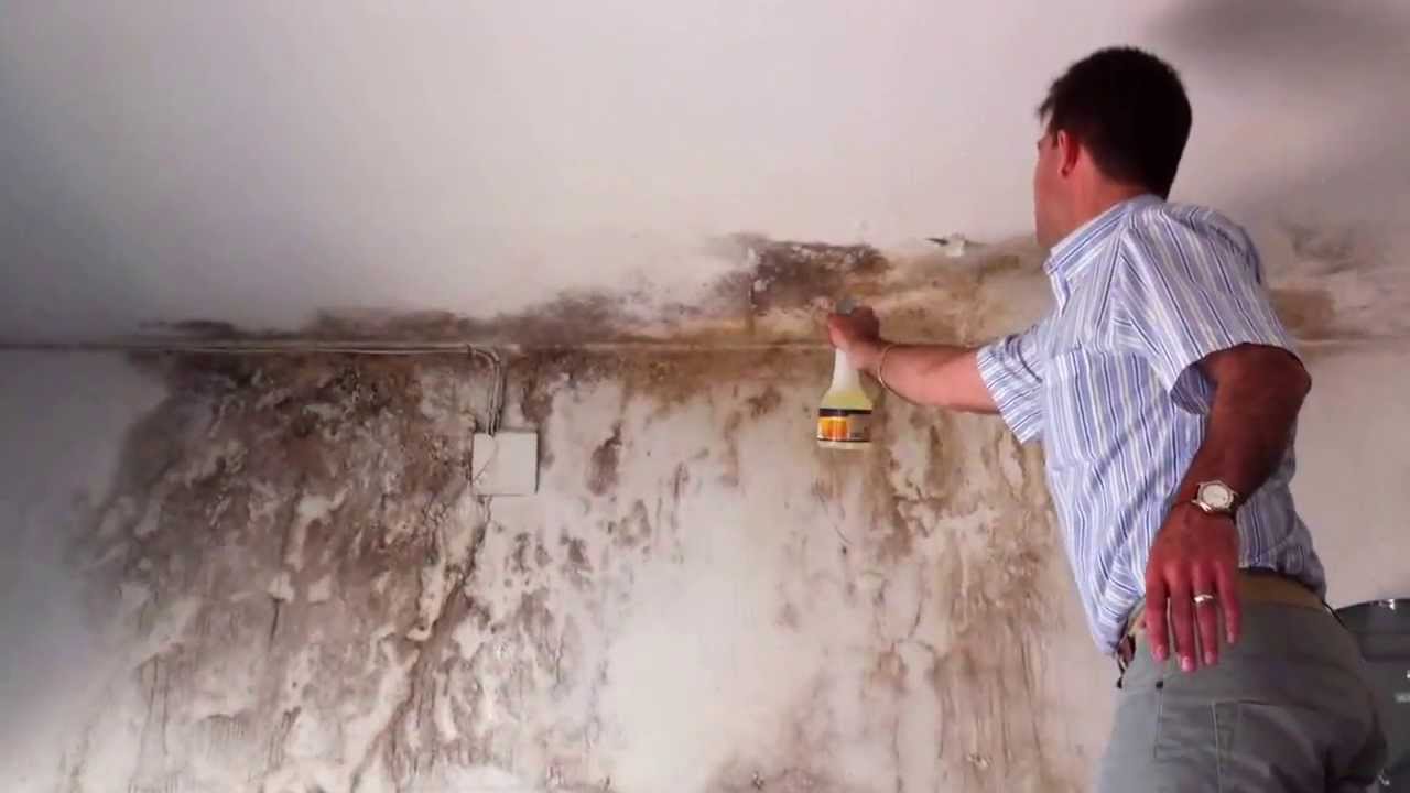 ¿Tenés problemas de humedad en las paredes de tu vivienda?